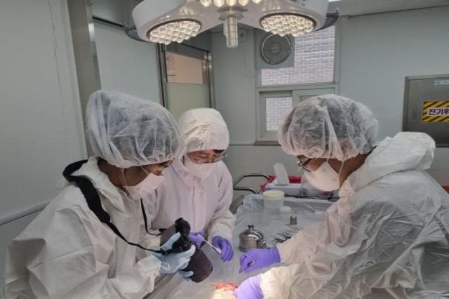 "동물학대 하지마!" 7월부터 과학적인 '수의법의검사' 시작