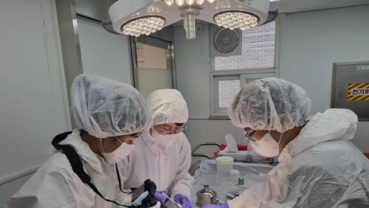 "동물학대 하지마!" 7월부터 과학적인 '수의법의검사' 시작