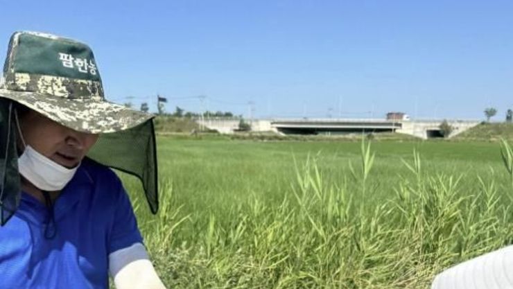 "농업인, 폭염 속 무리해서 일하지 마세요"
