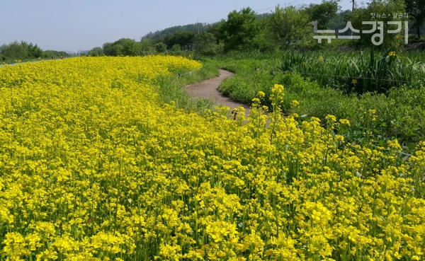 사진=성남시 환경정책과 사진=성남시청 환경정책과