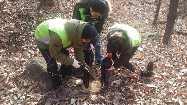 이미지 자료사진