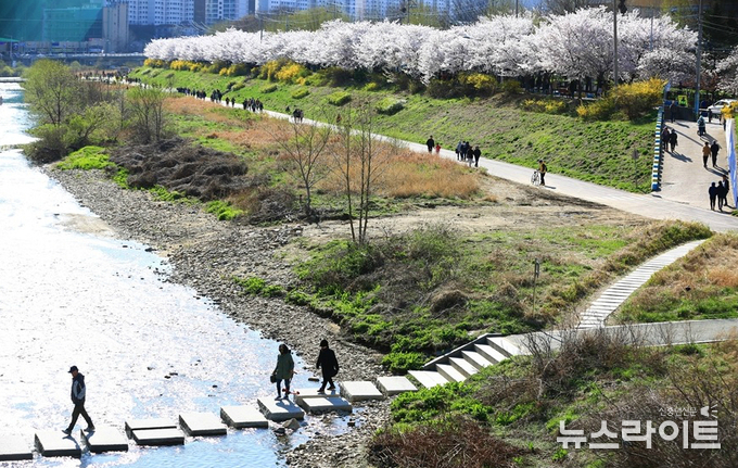안양천 옆 1.5km의 벚꽃길