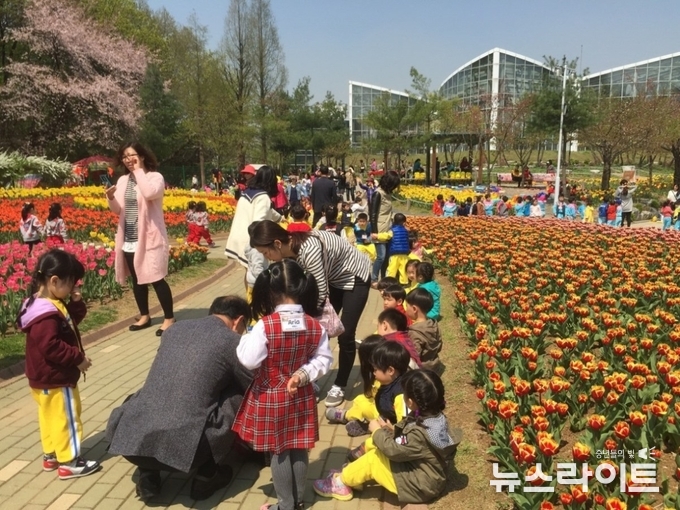 무릉도원수목원