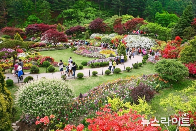 아침고요수목원