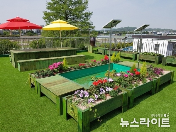 이미지 자료사진 - 옥상 텃밭