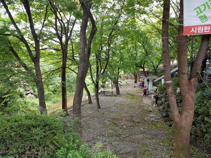 철거 후 깨끗해진 고기리 계곡 