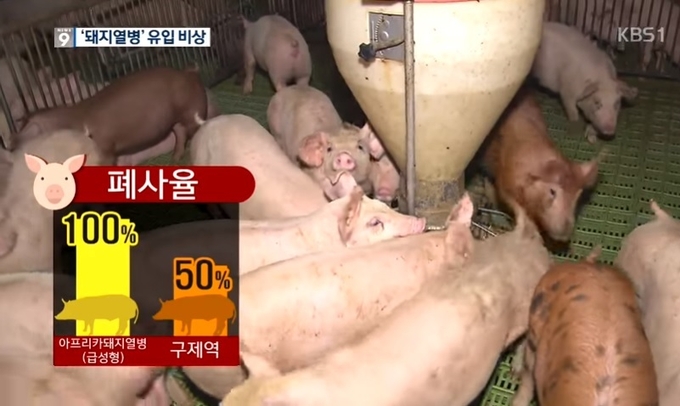 자료사진 = KBS 화면 캡처