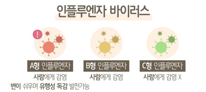 보건환경연구원, 지난주 올가을 처음으로 A형 인플루엔자 바이러스 검출 확인 ⓒ뉴스라이트