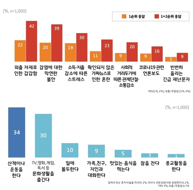 ⓒ뉴스라이트