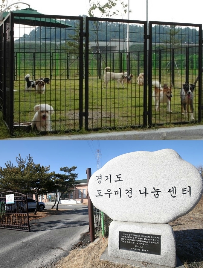 경기도 도우미견나눔센터