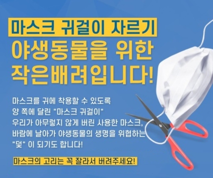 "마스크의 고무줄은 반드시 양쪽 모두 가위로 잘라서 바람에 날리지 않도록 잘 버려주세요" ⓒ뉴스라이트