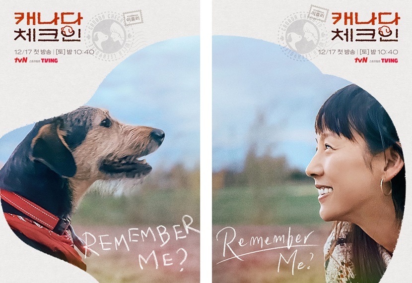 tvN ‘캐나다 체크인’, 이효리와 강아지의 특별한 시선 담은 공식 포스터 공개!