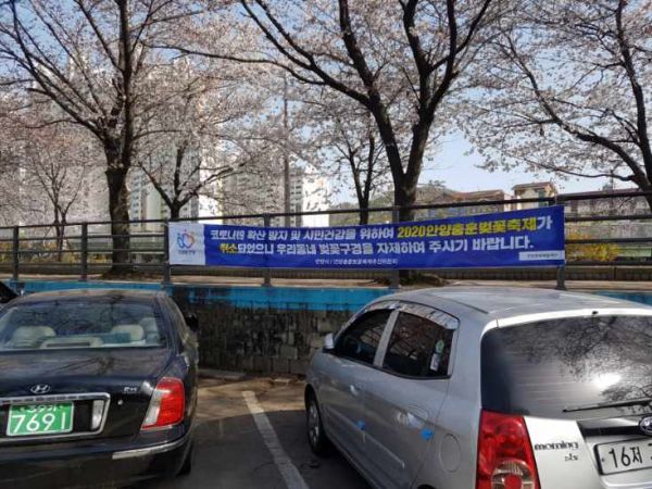 안양충훈벚꽃축제 올해는 아쉽지만 미 개최 내년을 기약