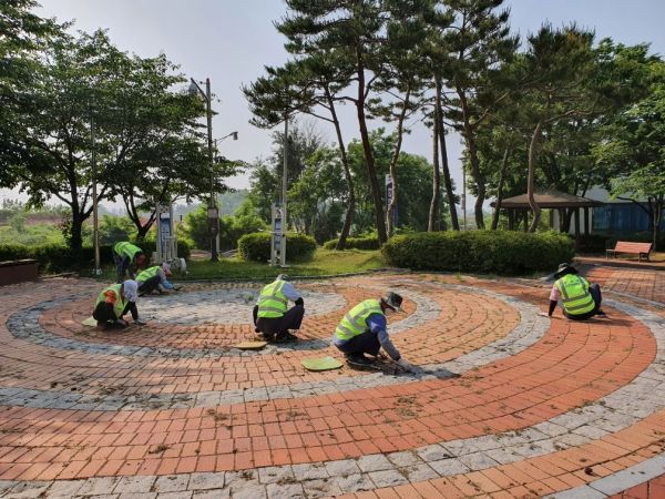 평택시 현덕면 노인사회활동 제초작업 실시