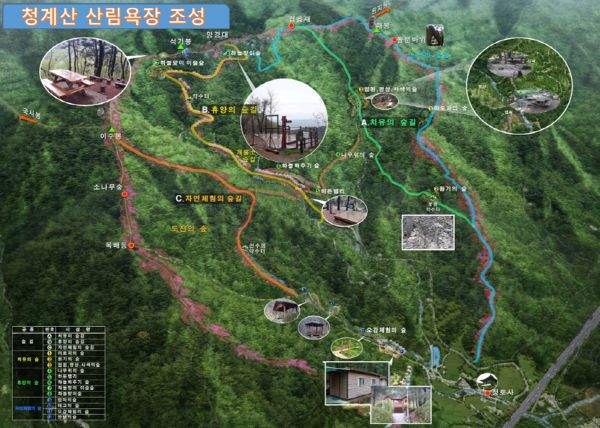성남시, 내년 10월 청계산 산림욕장 개장 ⓒ뉴스라이트