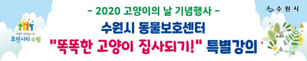 똑똑한 ‘고양이 집사’가 되려면 어떻게 해야할까?