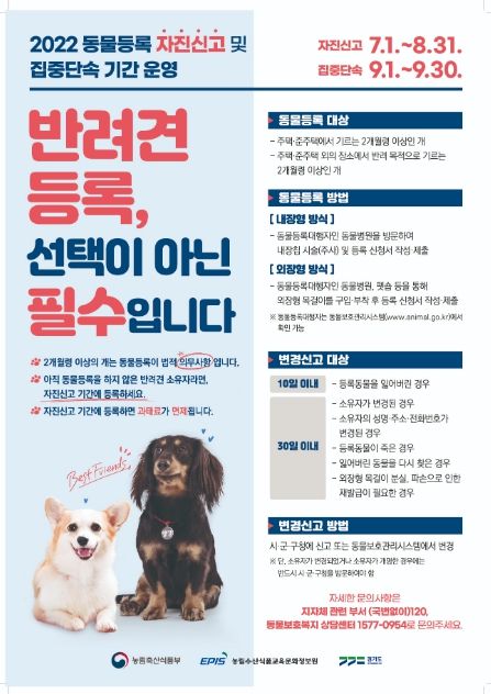 화성시, “8월까지 반려견 동물등록 하세요”9월부터 집중단속