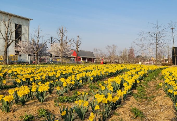 2023 평택꽃나들이 '꽃으로 여는 평택의 봄'