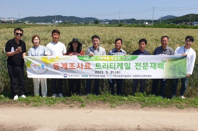 트리티케일 채종 전문컨설팅