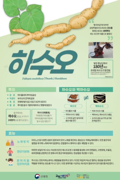 7월 임산물 ‘하수오’ 홍보물
