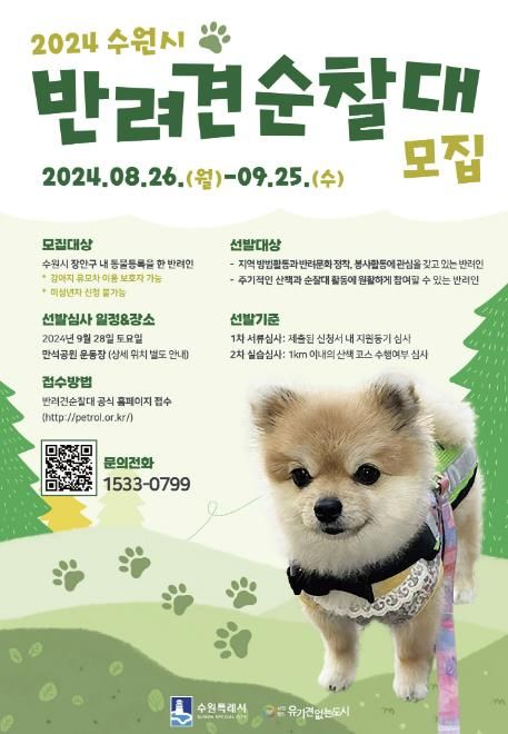 홍보물