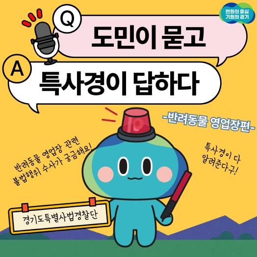 카드뉴스