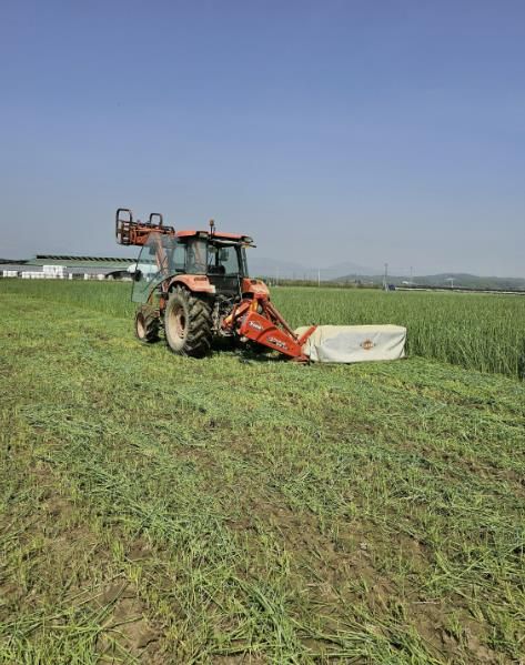 조사료 생산장비를 이용해 사료작물을 수확하고 있다