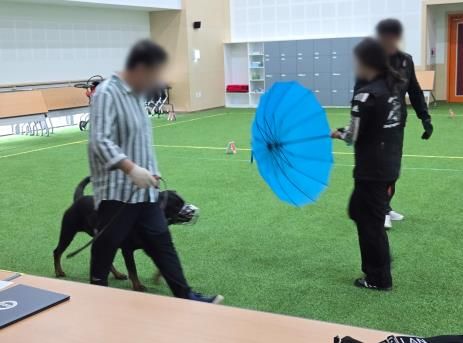 맹견 사육허가제도, 기질평가