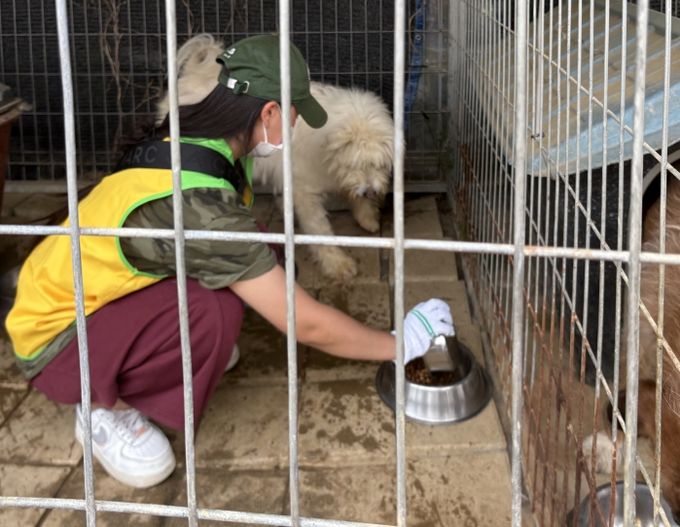 학생 주도 봉사활동으로 더불어 사는 삶 실천