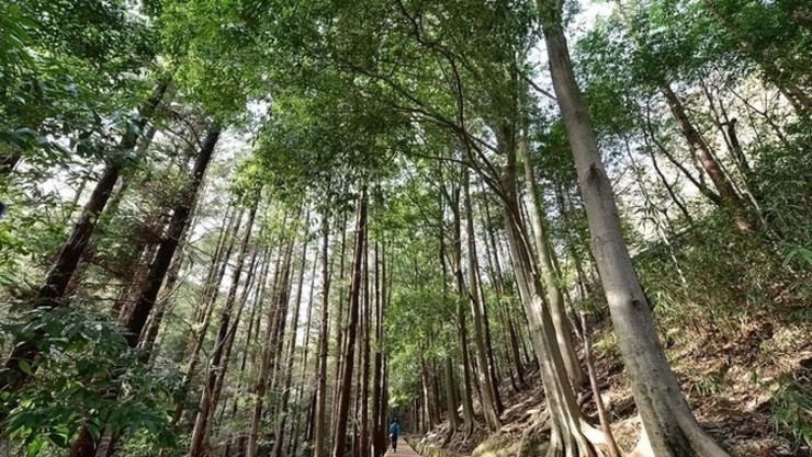 추석 연휴에 가볼 만한 '명품 숲길' 10선