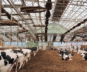 경기도, 가축행복플러스 제도 내년부터 도입.. 동물복지 수준 높이기로