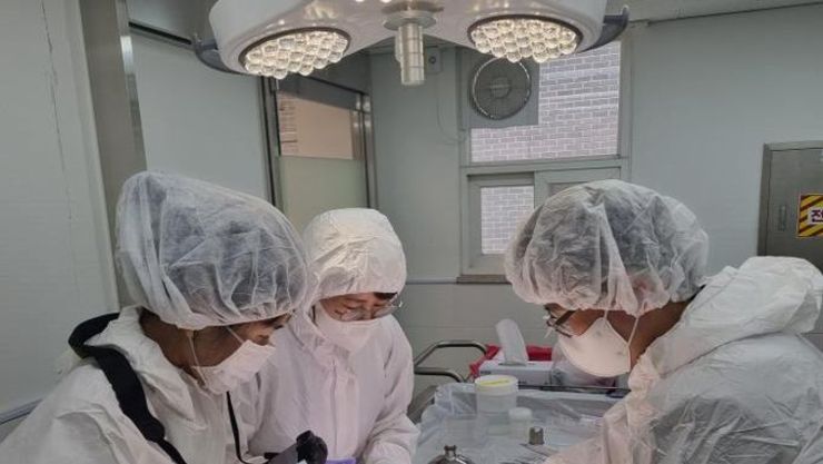동물학대 의심되면 경기도 '수의법의학센터'로 수사 의뢰 가능