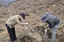 경기도, '꿀'만 따는 나무 넘어 '돈' 되는 산림 만든다