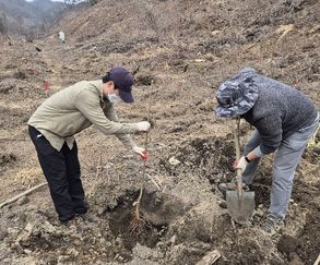경기도, '꿀'만 따는 나무 넘어 '돈' 되는 산림 만든다