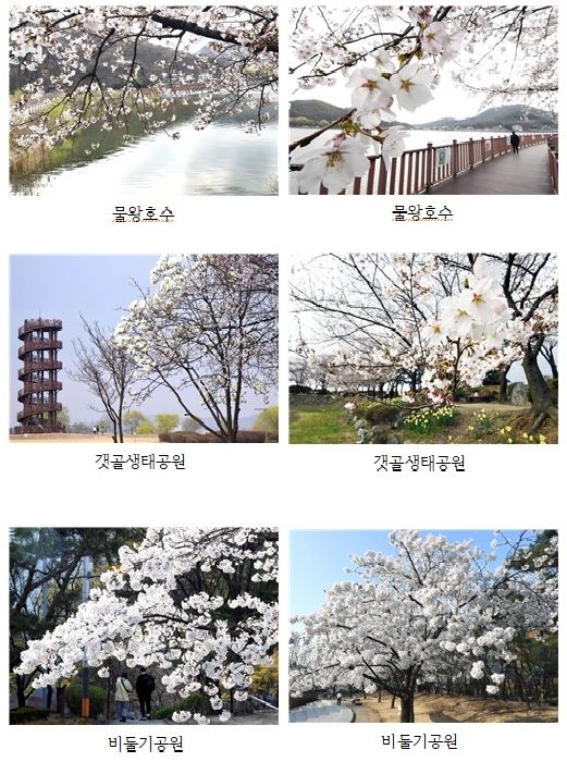 시흥을 대표하는 명소