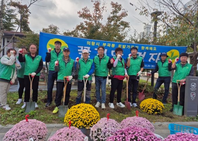 의왕시 부곡동 새마을지도자협의회, 부곡공원 국화 식재 및 가을철 농촌일손돕기 실시