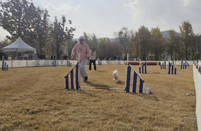 여주 강천섬 반려동반 힐링 프로그램, 반려가족 큰 호응 속 성공적 운영