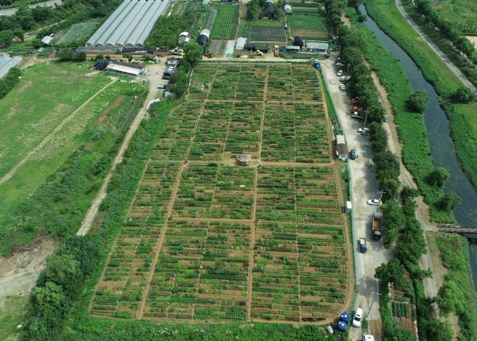 남동구, 2026년 공공 주말농장 텃밭 분양