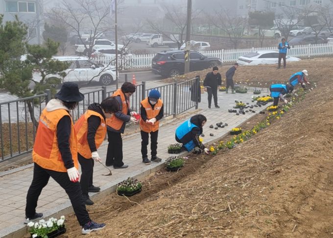 비전2동 2026년 새봄맞이 봄꽃 심기