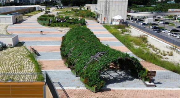 남촌농산물도매시장 옥상텃밭 프로그램 참여자 모집