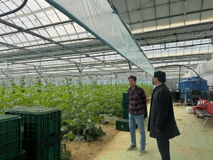 평택시, 국제유가 변동 대응 시설원예 농가 현장 점검