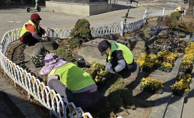 수원시 영통구, 봄꽃 식재로 도심 곳곳 '화사한 봄단장'