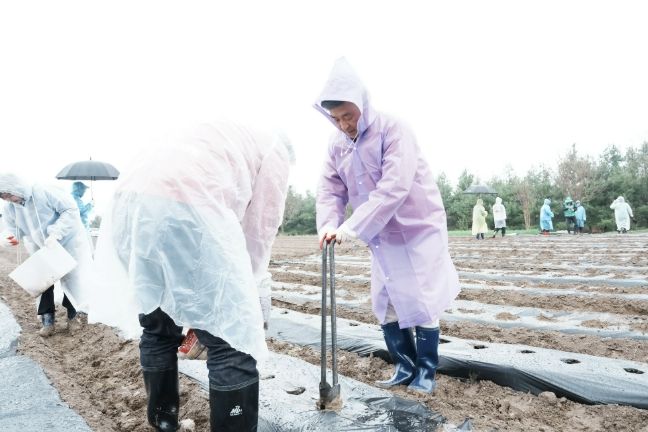 광주시 신현동 새마을회, 이웃돕기 감자 심기 진행